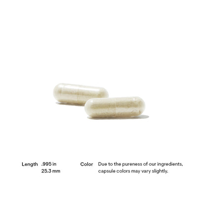 L-Arginine Plus (formerly Perfusia Plus)